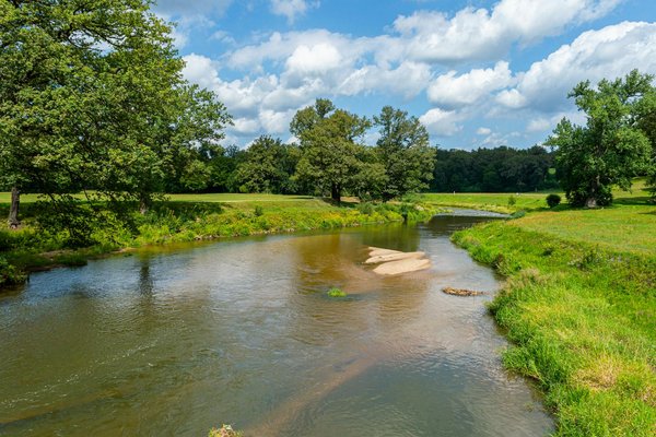 Optimiser la Santé Mentale en Milieu Professionnel : Stratégies et Solutions